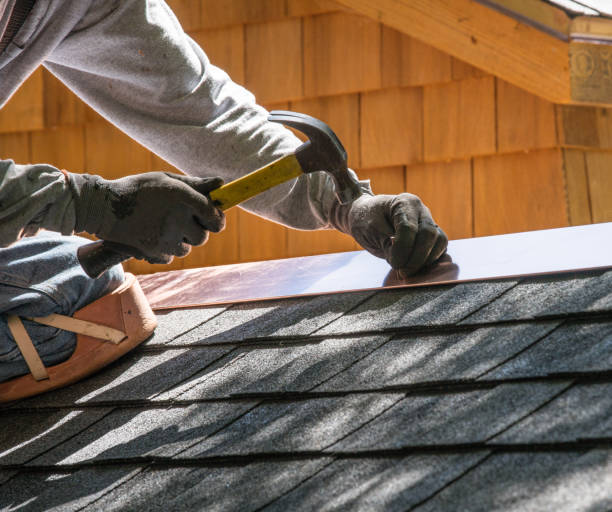 Best Metal Roofing Contractor  in Gasport, NY